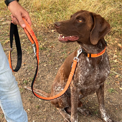 Hundeleine "Führ mich!" mit 2 Karabinern, 2m - orange