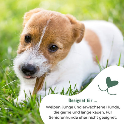 Ochsenziemer für Hunde, getrocknet