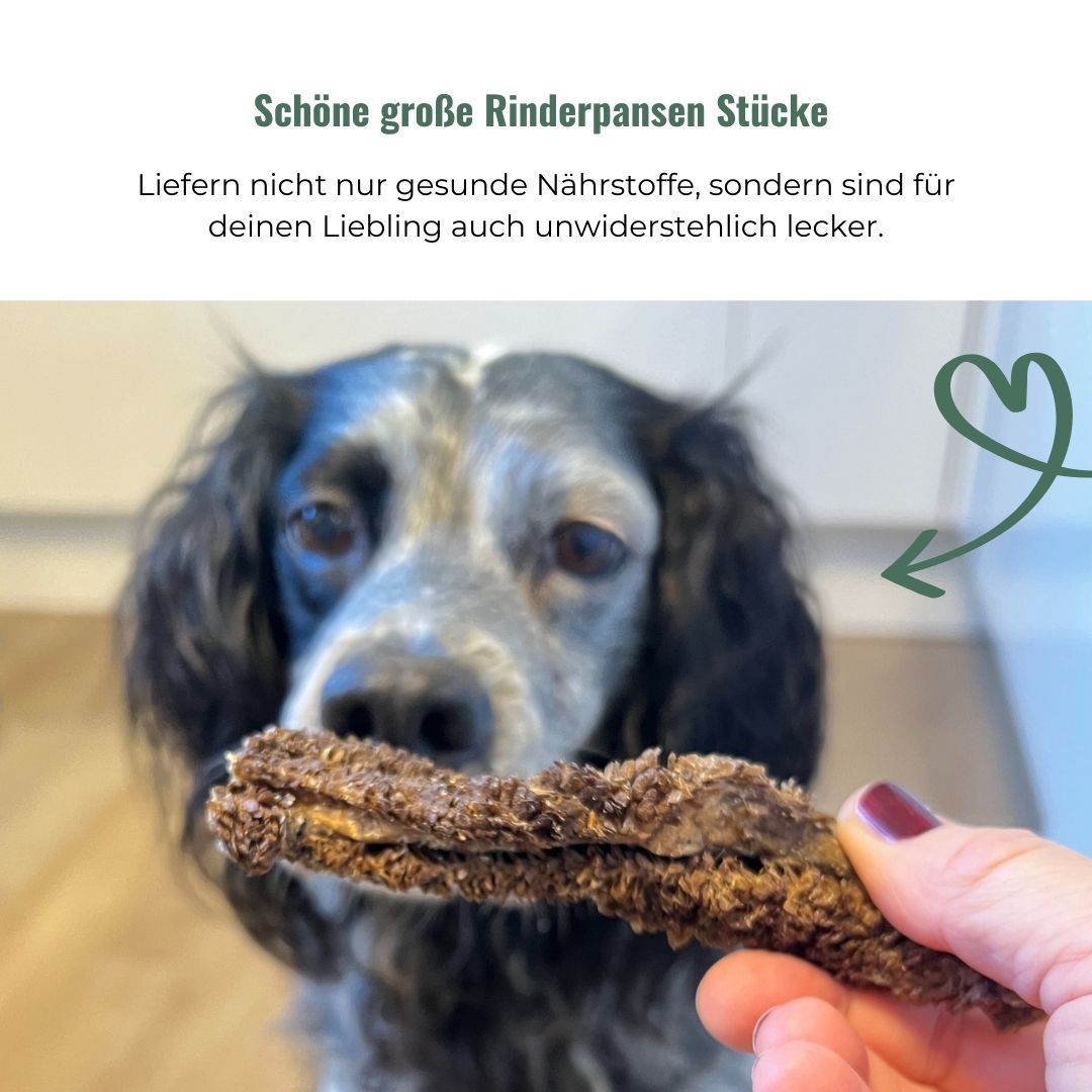 Rinderpansen für Hunde, getrocknet