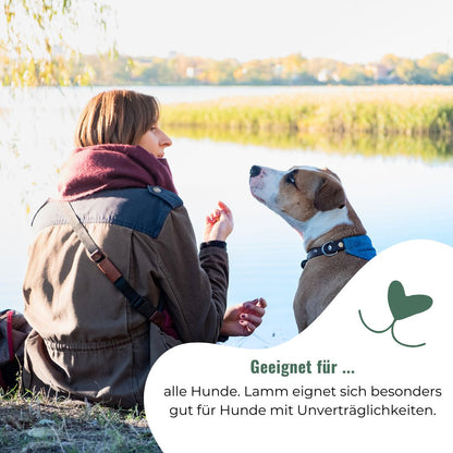 Lammschlund für Hunde, getrocknet