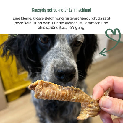 Lammschlund für Hunde, getrocknet